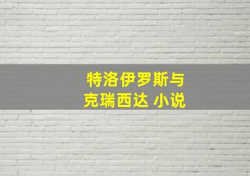 特洛伊罗斯与克瑞西达 小说